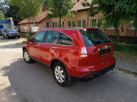 Honda CR-V Bezwypadkowy, stan BDB, ELEGANCE Janów Lubelski - zdjęcie 3
