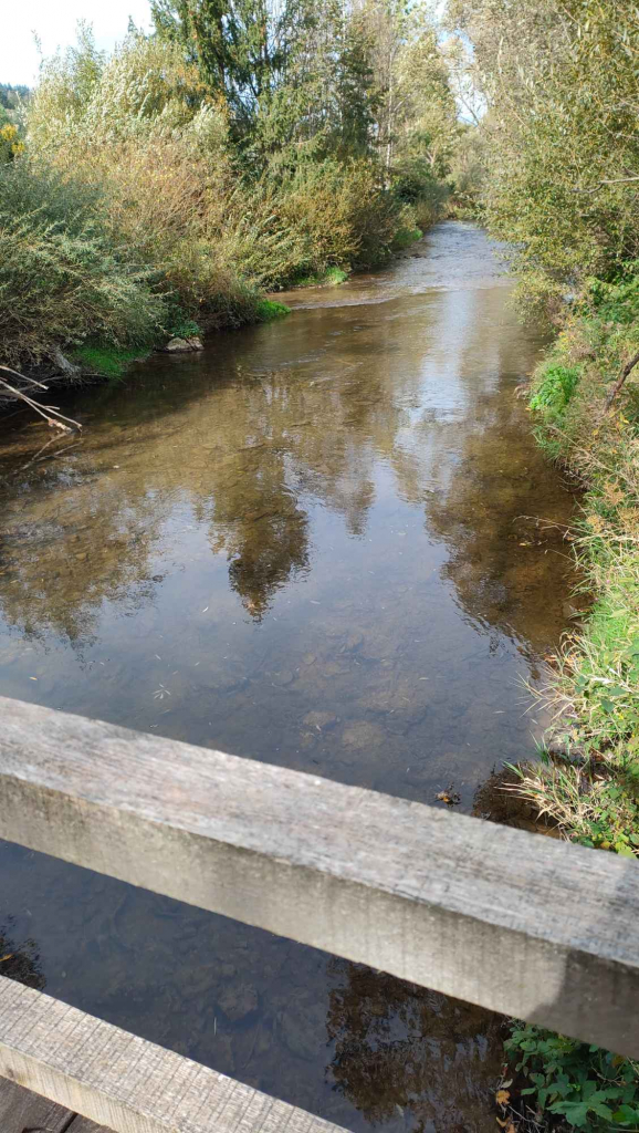 Działka rolna 28 ha. Brzuska - zdjęcie 9