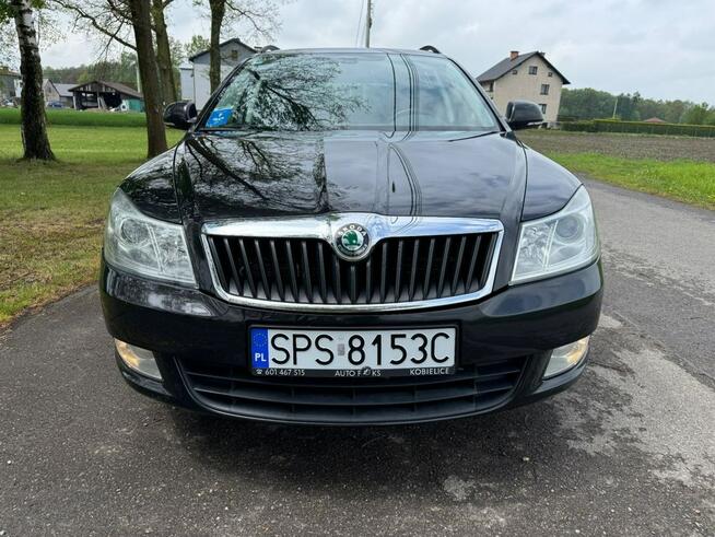 Škoda Octavia Oryginalny lakier, bezwypadkowy, zadbany, bez korozji Kobielice - zdjęcie 2