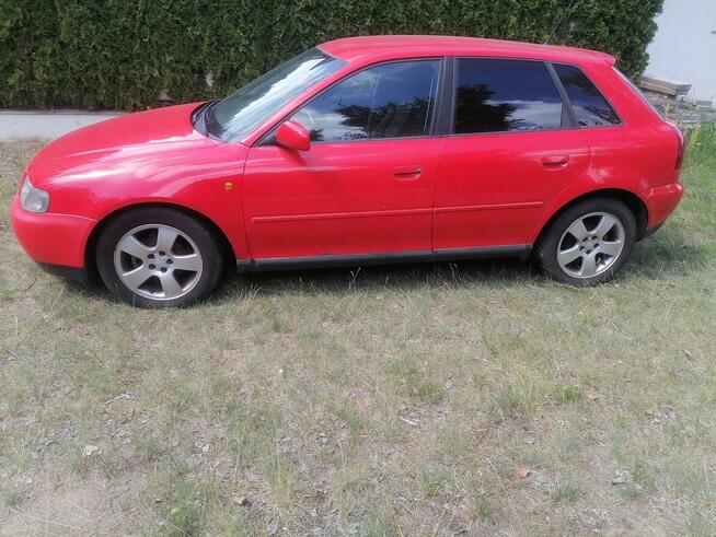 Audi Zboże - zdjęcie 6