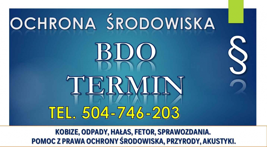 Raport z odpadów do BDO, cena, t,504-746-203. Sprawozdanie, zgłoszenie Psie Pole - zdjęcie 2