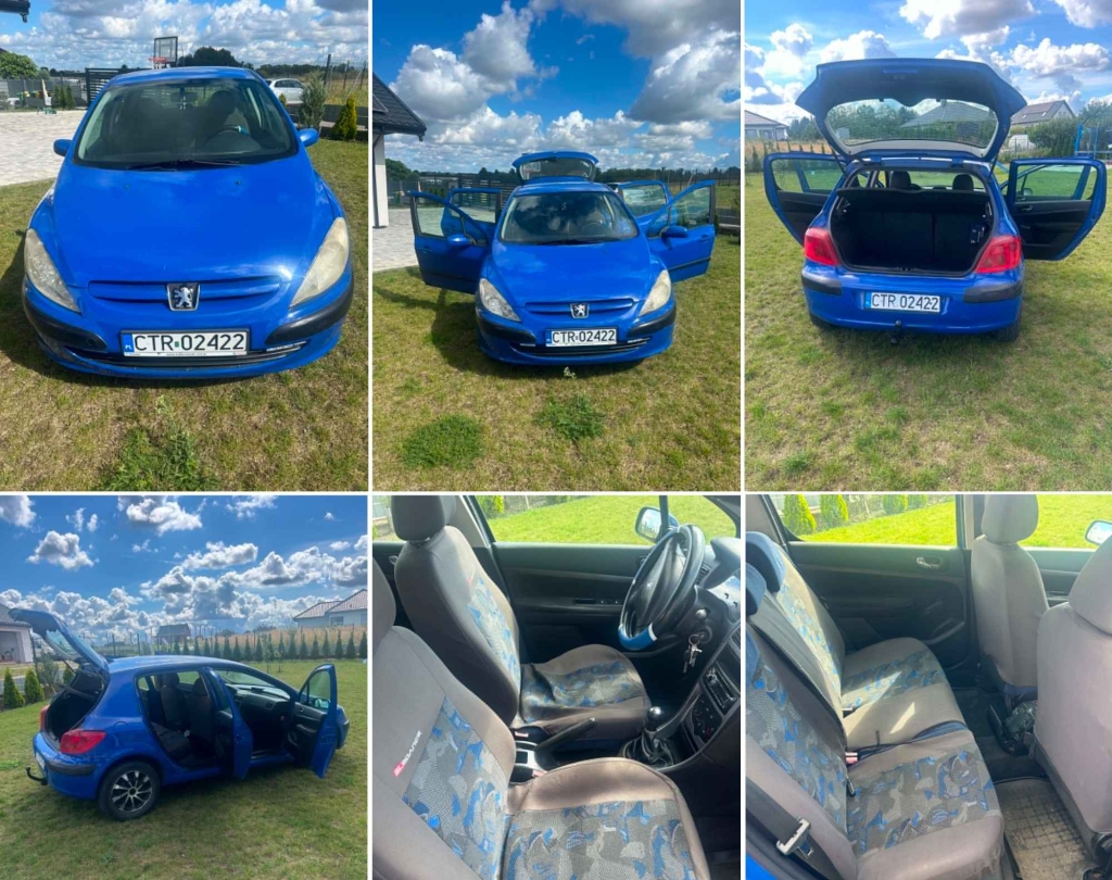 Peugeot 307 1.4 Benzyna – 2002 rok Aleksandrów Kujawski - zdjęcie 1
