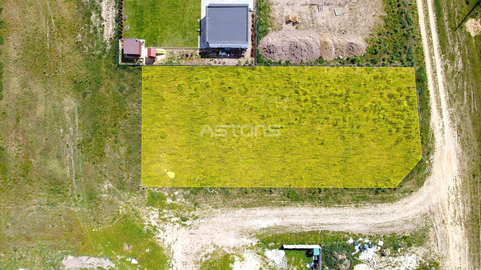 ZNAKOMICIE POŁOŻONA DZIAŁKA BUDOWLANA! Gruszczyn - zdjęcie 6