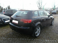 Audi A3 1,6 MPI Benzyna 102KM!!!Klima!! Białystok - zdjęcie 4