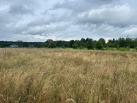 Działki budowlane z WZ, w zielonej części Poznania