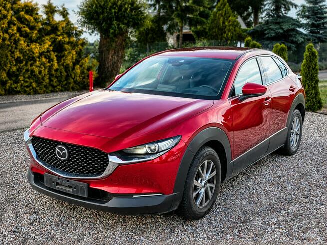 Mazda CX-30 Sadlno - zdjęcie 1