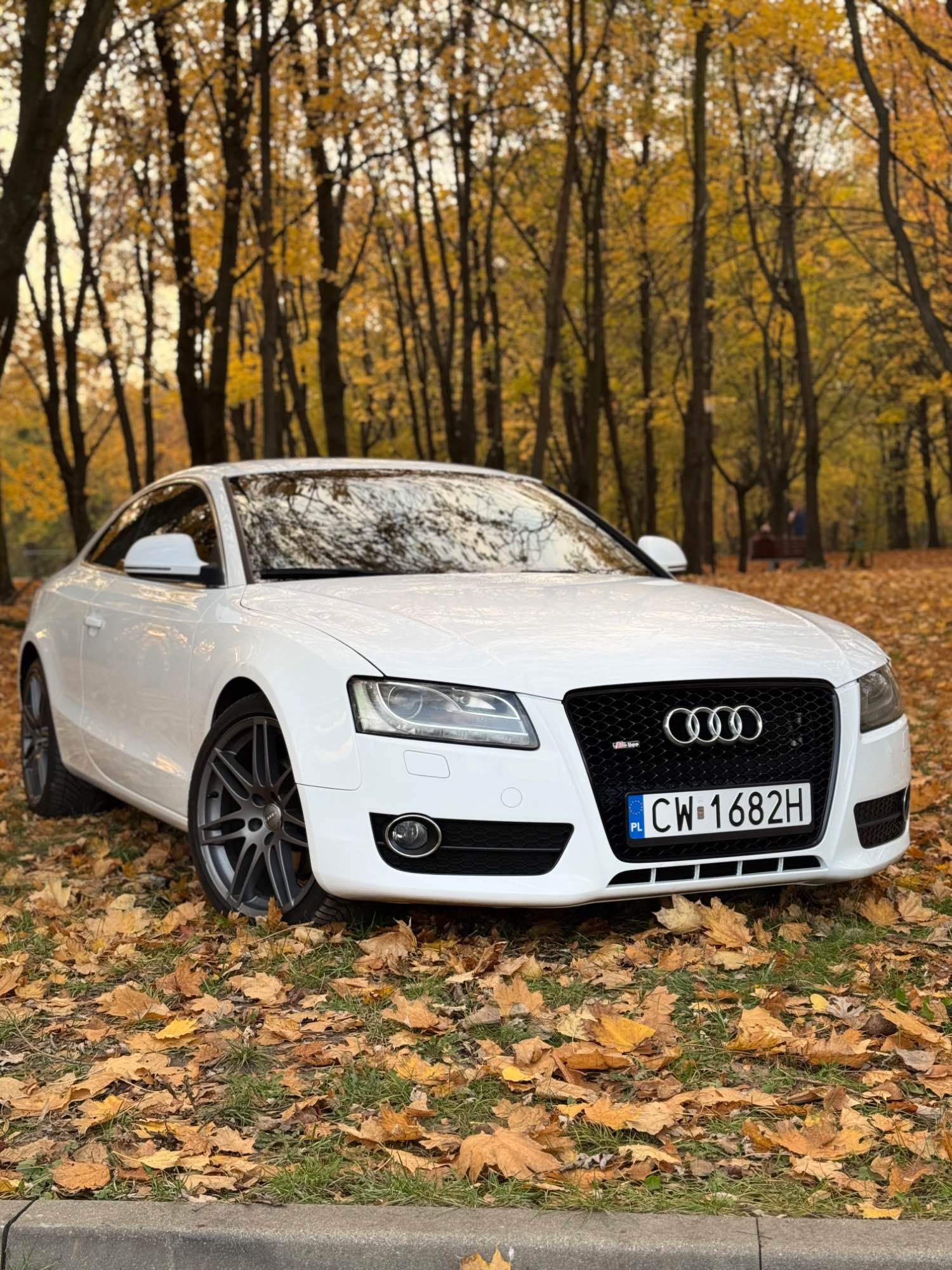 Audi A5 8T Pruszków - zdjęcie 1