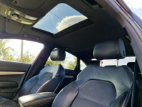 Audi A6 Zadbane rodzinne - bezwypadkowe z oryginalnym przebiegiem. Poznań - zdjęcie 7