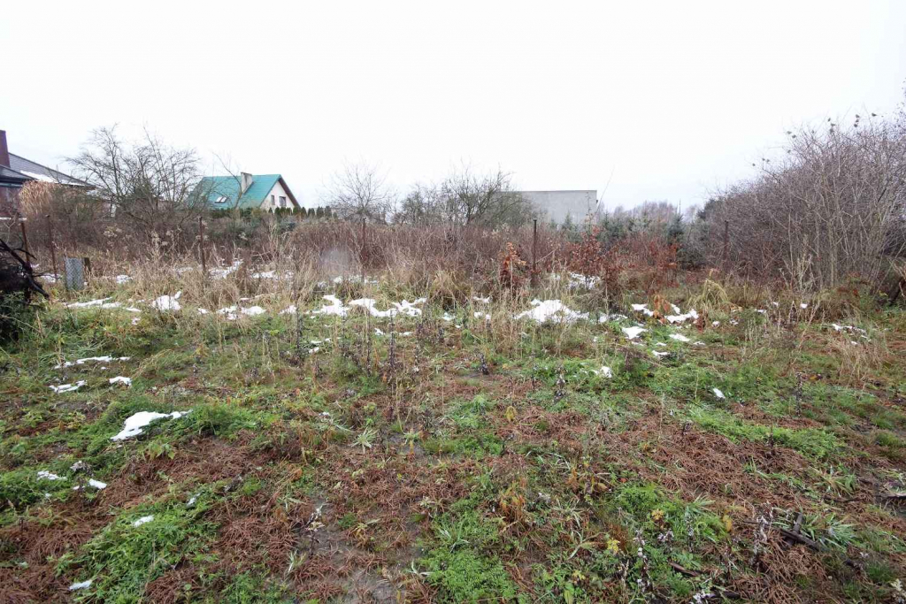 Działka Budowlana (6600 m2) okolice Różanej (Syców) Syców - zdjęcie 11
