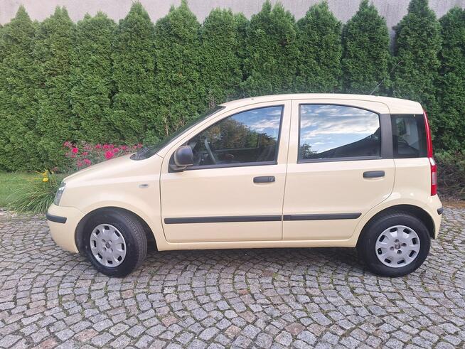 Fiat Panda Classic Siewierz - zdjęcie 7