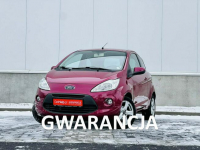 Ford Ka Mk2 1.2 benzyna – 2009 r. – 137 000 km