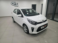 Kia Picanto 1.2/Bezwypadkowy/Serwisowany/Gwarancja roczna w cenie Korczyna - zdjęcie 10