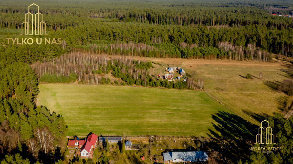 Działka w otoczeniu lasu Kulikówka - zdjęcie 1