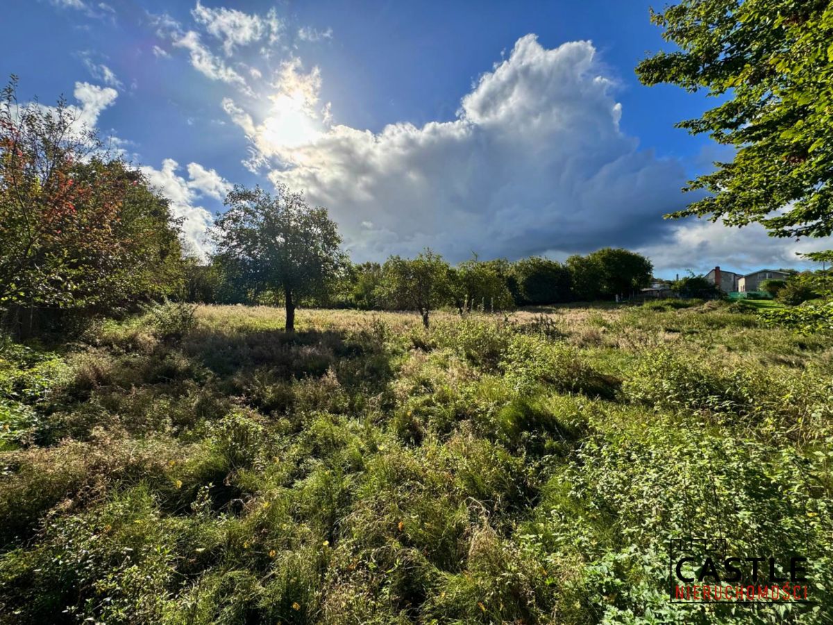 Działka|Inwestycyjna|Górzyno Gorzyno - zdjęcie 5