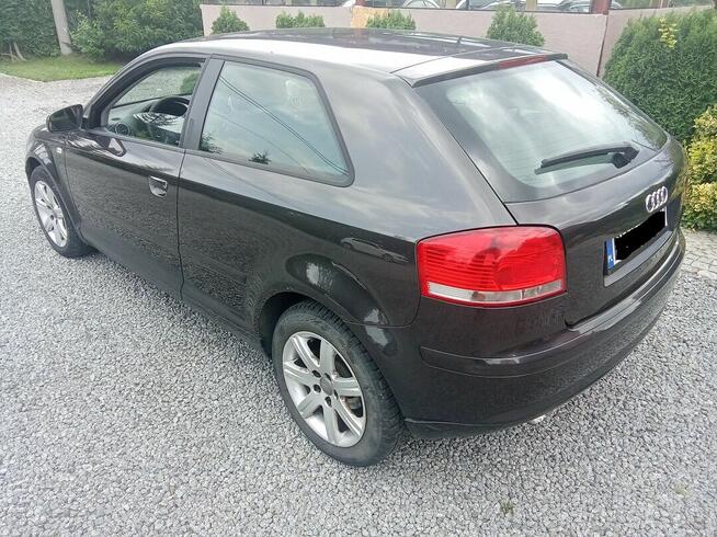 AUDI A3  1,9 tdi   105 KM  lift 2005 Pieszyce - zdjęcie 3