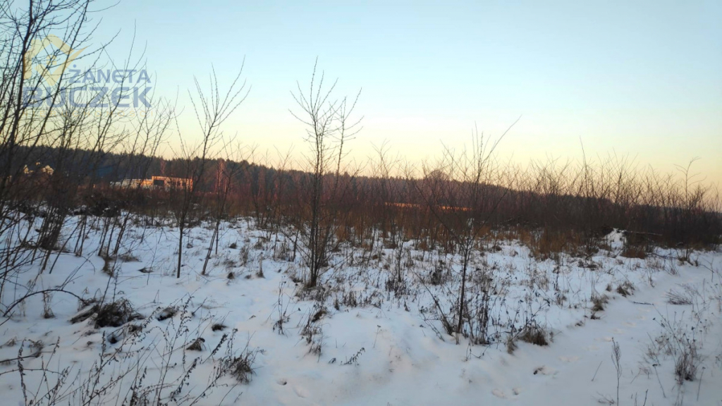 Sprzedam działkę pod zabudowę usługową w Brochowie Brochów - zdjęcie 2