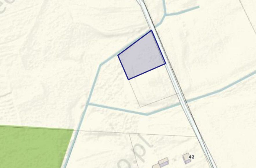 Działka z WZ Borsukówka gm. Dobrzyniewo Duże Borsukówka - zdjęcie 5