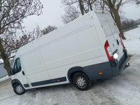DUCATO/MAXI/3.0/DIESEL/HAK/ZAREJESTR/ Gostynin - zdjęcie 3
