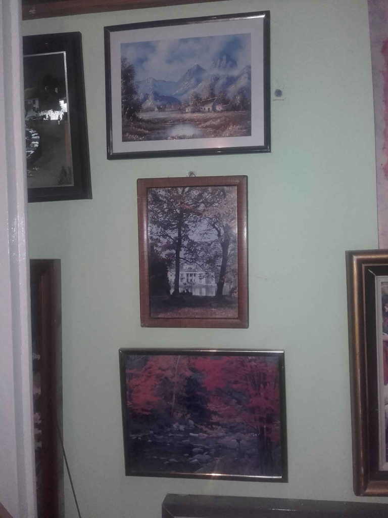 Kolekcja obrazów Bielany - zdjęcie 9