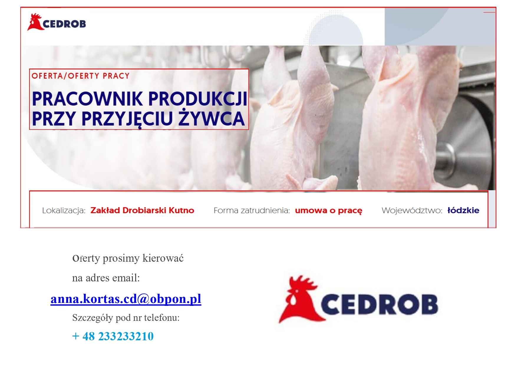 Pracownik produkcji przy przyjęciu żywca Kutno Kutno - zdjęcie 1