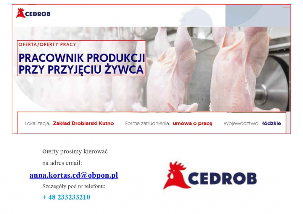 Pracownik produkcji przy przyjęciu żywca Kutno Kutno - zdjęcie 1