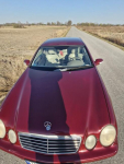 Mercedes CLK Tuczępy - zdjęcie 6