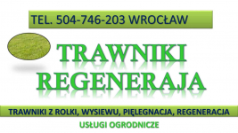 Zakładanie trawnika cena tel. 504-746-203, Wrocław. Trawnik z rolki. Psie Pole - zdjęcie 3