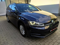 Volkswagen Golf 1.4 TSI  DSG Full Led Navi Radar Hak  Zarejestrowany Strzała - zdjęcie 9