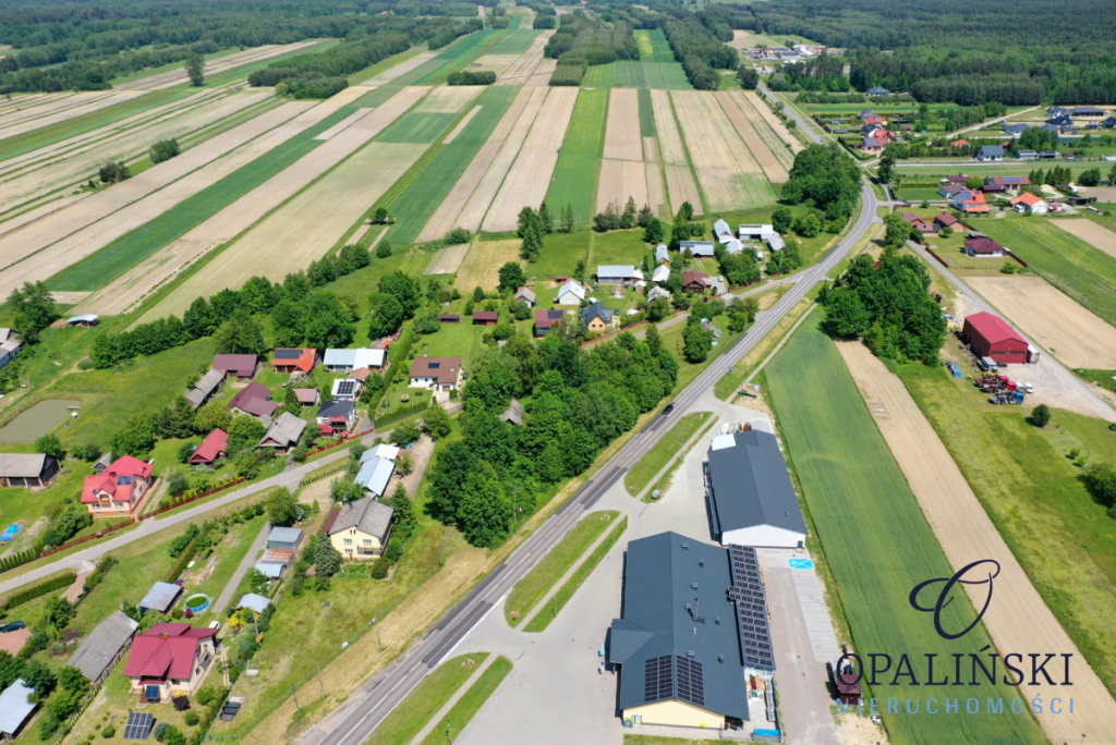 Działka 30 ar | pod dom handel lub usługi Adamówka - zdjęcie 3
