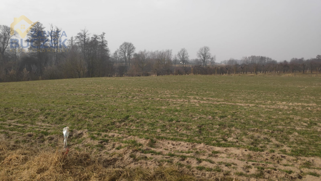 Sprzedam działki rolne z WZ w Strzyżewie Strzyżew - zdjęcie 8