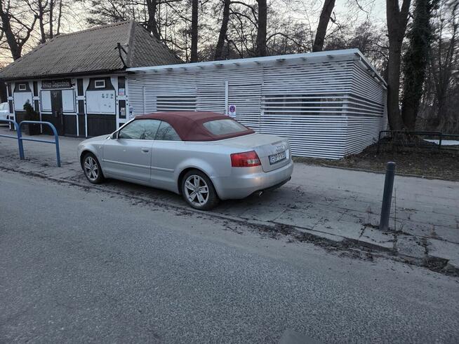 Sprzedam Banino - zdjęcie 6