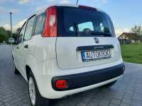 Fiat Panda Bezkolizyjny,Polski salon Liszki - zdjęcie 4