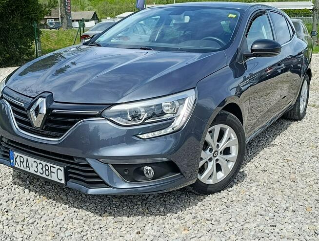Renault Megane 1,3 Kamera, Nawigacja ,Serwis ,bdb stan Dulowa - zdjęcie 2