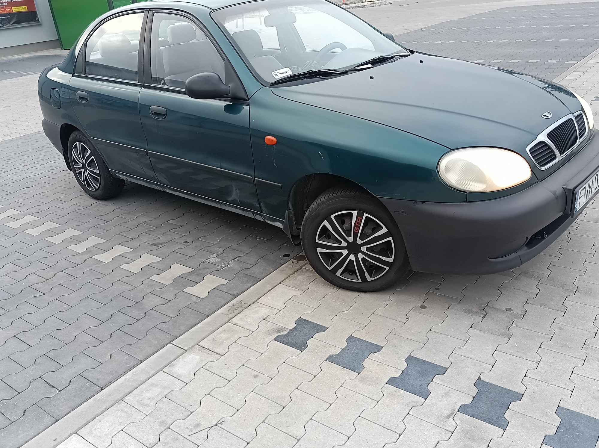 Sprzedam lanosika Kożuchów - zdjęcie 12