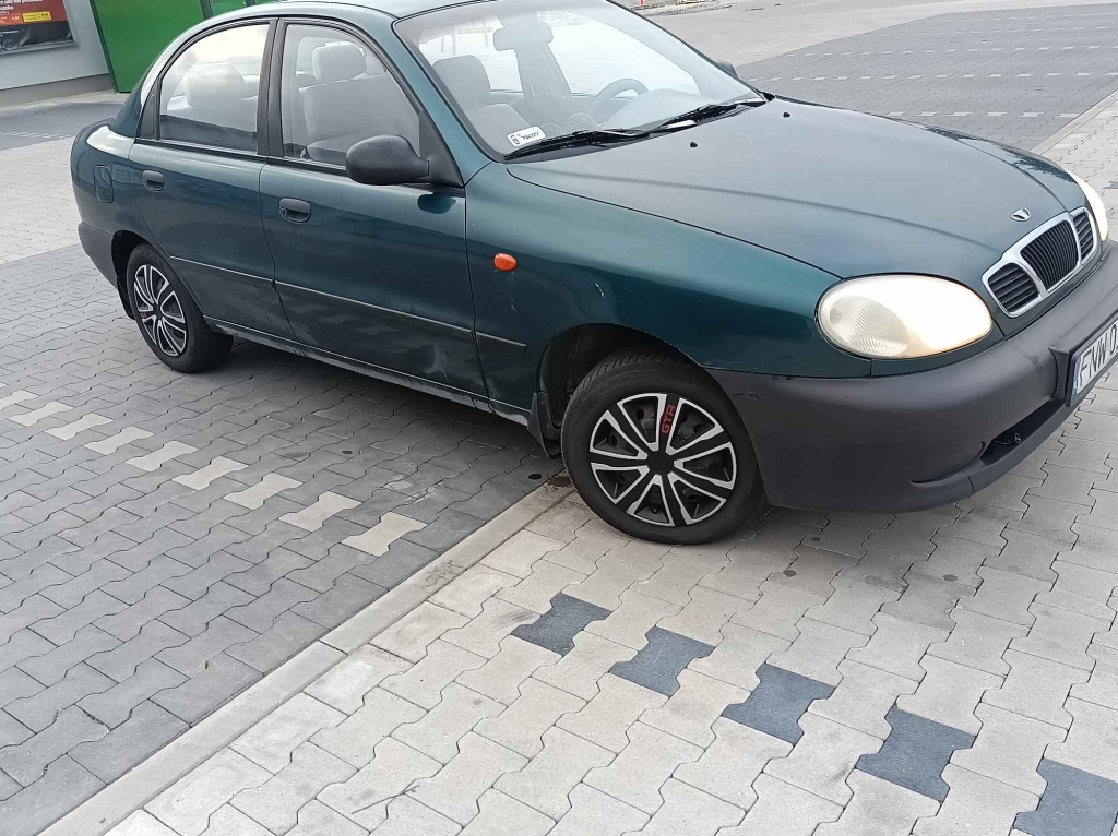 Sprzedam lanosika Kożuchów - zdjęcie 12