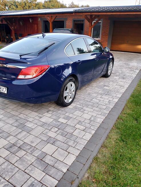 Sprzedam Gizałki - zdjęcie 3