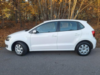 Polo Cool Trendline Siewierz - zdjęcie 6