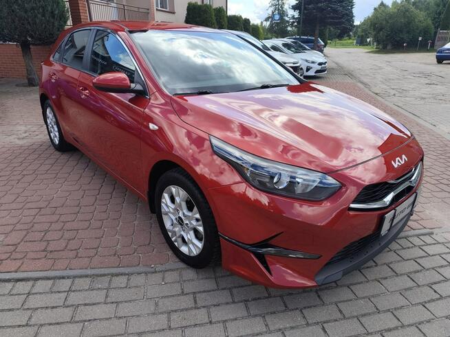 Kia Cee'd 2024/SALON POLSKA/FV23%/stan bdb/gwarancja Ełk - zdjęcie 6