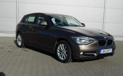 BMW F20 2014r – Bogata Wersja, Automat, Bezwypadkowy, Zadbany Włocławek - zdjęcie 3
