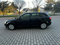 Audi A3 Lift 1.6Tdi 2012r Xenon Led Sportback Alufelgi Hak Climatronic Sokołów Podlaski - zdjęcie 10