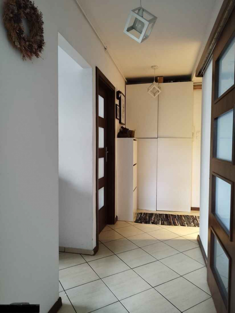 2pok, 38met, okolice Wróblewskiego PIWNICA/OGRÓD (Wrocław) Śródmieście - zdjęcie 8