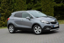 Innovation bi-Xenon Ledy Navi Skóry Grzana Kierownica Parktr. Aso Opel Ostrów Mazowiecka - zdjęcie 3