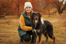 Roki - domowy, młody, przyjazny psiak! Olsztyn - zdjęcie 2