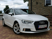 Audi A3 Sadlno - zdjęcie 2
