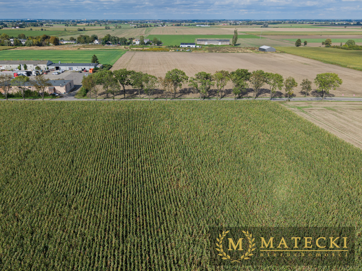 Działka AG  - 7 km od Poznania Komorniki - zdjęcie 7