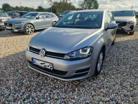 GOLF 7