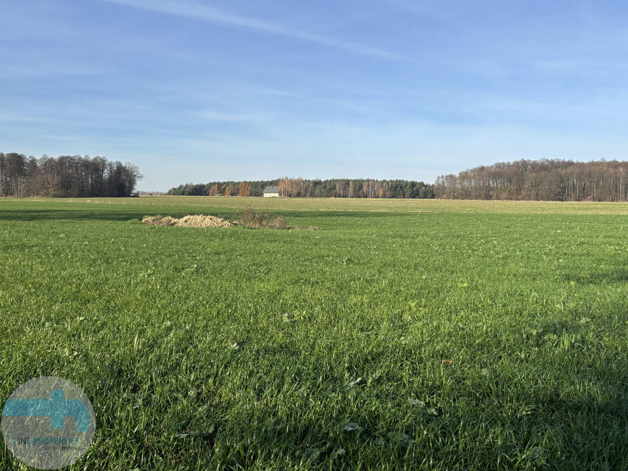 7,4 ha ziemi - idealne pod siedlisko, agroturystykę, stadninę Jaskółowo - zdjęcie 5
