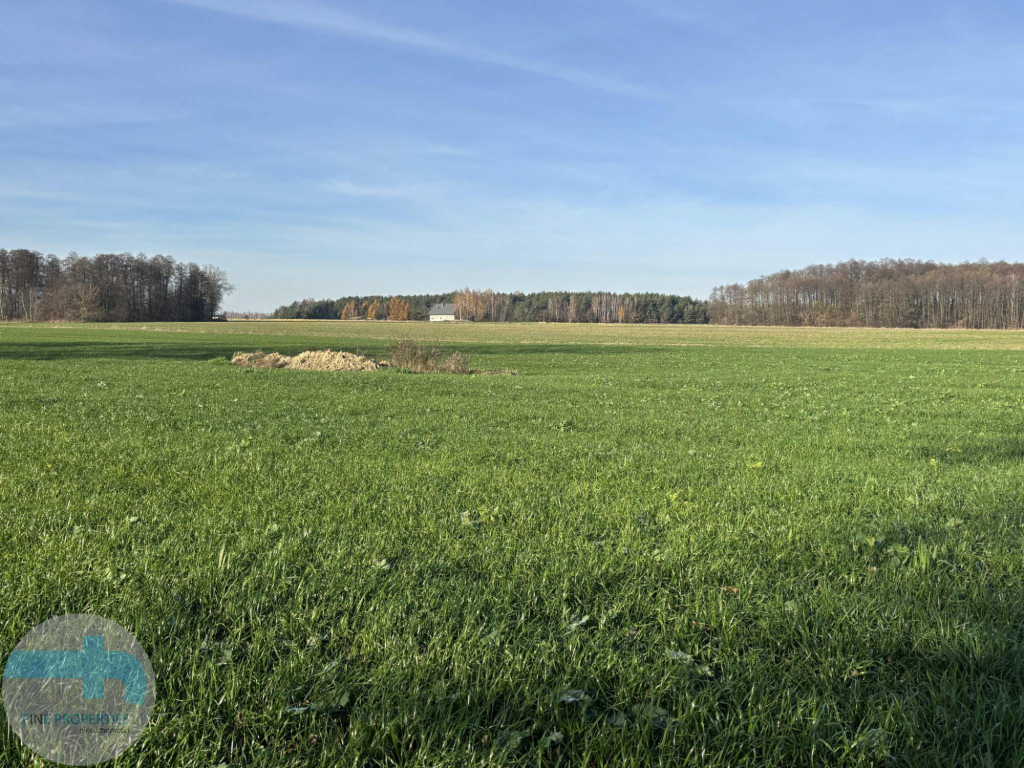 7,4 ha ziemi - idealne pod siedlisko, agroturystykę, stadninę Jaskółowo - zdjęcie 5