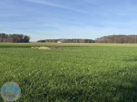 7,4 ha ziemi - idealne pod siedlisko, agroturystykę, stadninę Jaskółowo - zdjęcie 5