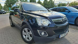 Opel Antara Cosmo    !!    4x4    !!! Poznań - zdjęcie 2
